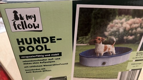 Hundepool swimmingpool - hundepool,