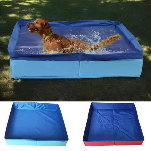 Hundepool hunde swimmingpool - hunde,