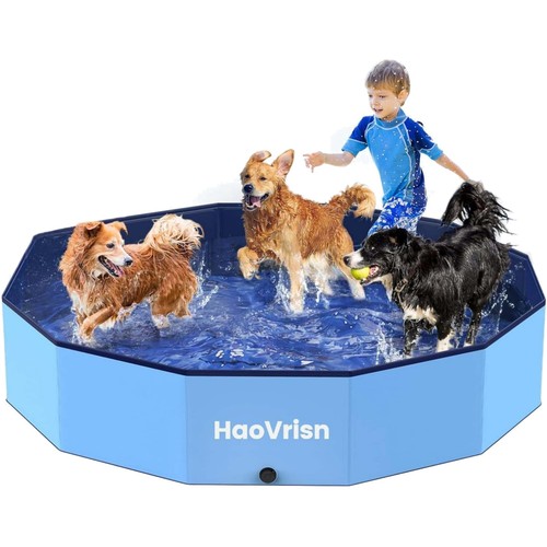 Hundepool planschbecken - hundepool,
