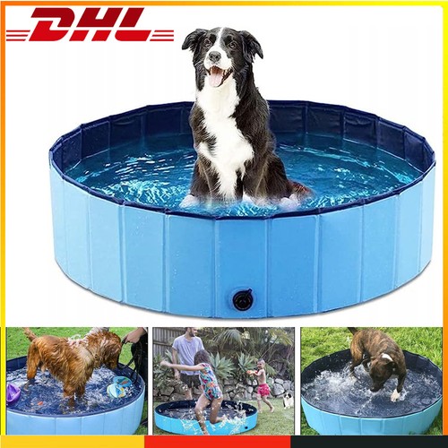 Hundepool hunde swimmingpool - hunde,