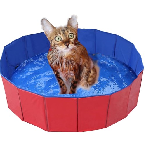 Hundepool hundeschwimmbecken - hundepool,
