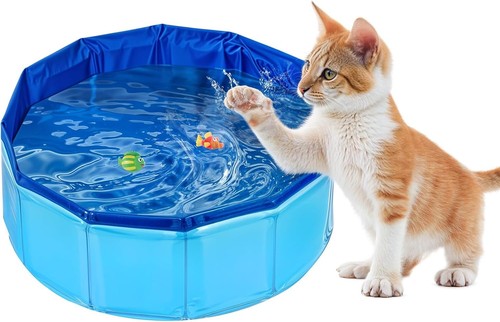 Faltbares katzen schwimmbecken - faltbares, katzen-schwimmbecken