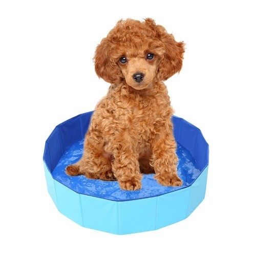 Hunde schwimmbecken faltbar - schwimmbecken,