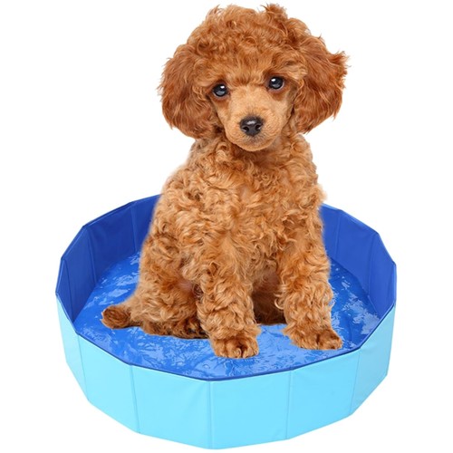 Hundepool hundebecken - hundepool,