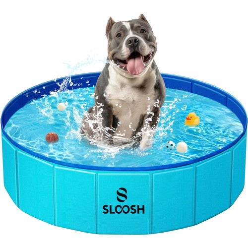 Hundepool planschbecken - hundepool,
