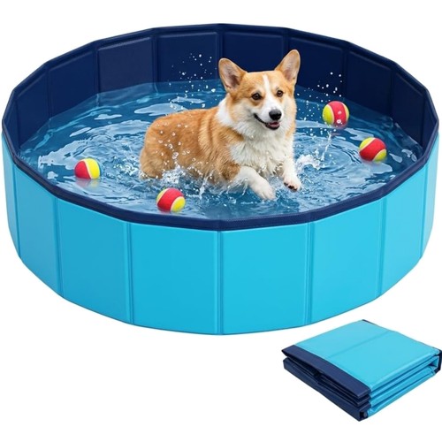 Hundepool,Hundeschwimmbecken