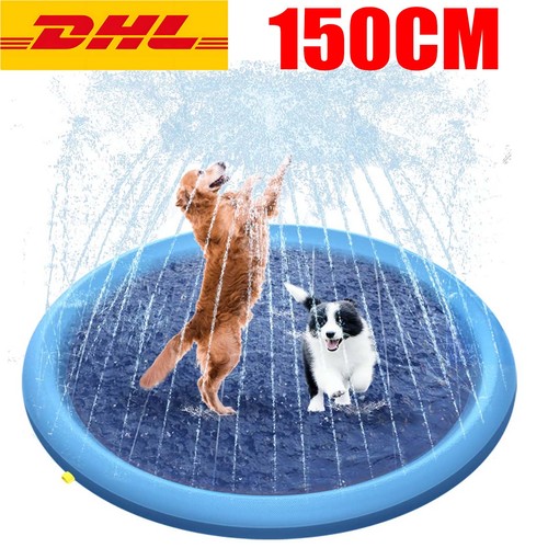 Hundepool hunde swimmingpool - hunde,