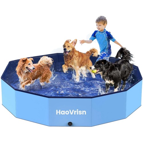 Hundepool planschbecken - hundepool,
